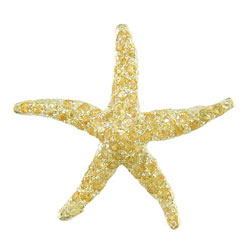 P0095 18KT Yellow Sapphire Starfish Brooch/Pendant
